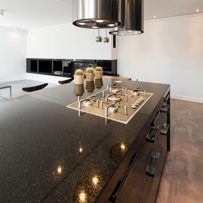 Modern kitchen renovation with state-of-the-art appliances